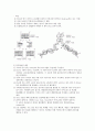 생화학실험 DNA 정량 온도에 따른 변화 2페이지