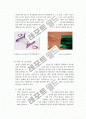 세포 공학 실험 전기영동(electrophoresis) 6페이지