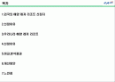 외국해양리조트와 국내해양리조트의 비교분석 2페이지