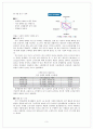 LG전자의 인도시장 진출 3페이지