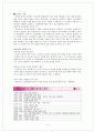 LG전자의 인도시장 진출 4페이지