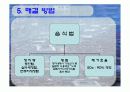 황산화물의 제어 10페이지