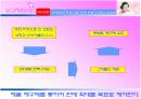 [경영]화장품 마케팅 관련 마케팅 분석(태평양) 5페이지