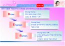 [경영]화장품 마케팅 관련 마케팅 분석(태평양) 33페이지