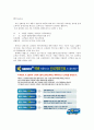 세덱스택배(신세계드림익스프레스)의 마케팅 전략 사례 13페이지