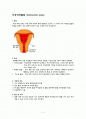 자궁내막폴립 (Endometrial polyp)  1페이지