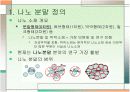 나노분말의 특성 및 경향 5페이지