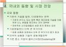 나노분말의 특성 및 경향 13페이지
