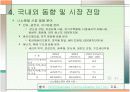 나노분말의 특성 및 경향 15페이지