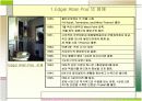 Edgar Allan Poe생애,작품,사상 3페이지