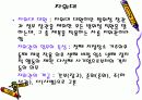 일본의 군사력과 방위정책 8페이지