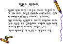 일본의 군사력과 방위정책 11페이지