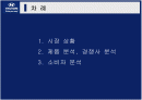 베라크루즈 홍보기획서 2페이지