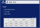 베라크루즈 홍보기획서 14페이지