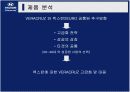 베라크루즈 홍보기획서 24페이지