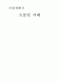 사업계획서 1페이지