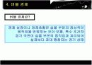 일본 버블경제성장과 그 후 9페이지