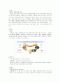 미생물감염이 우리 인체에 미치는 영향 (식중독) 1페이지