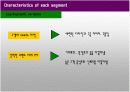 빈폴의 성공요인과 마케팅 전략 32페이지