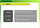태양에너지 설비 조사 보고서 5페이지