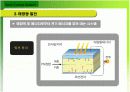 태양에너지 설비 조사 보고서 7페이지
