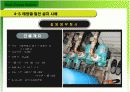 태양에너지 설비 조사 보고서 19페이지