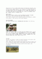 [중국의 도시 해남성] 중국 하이난성(해남도)에 대하여 2페이지