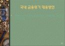 미국금융위기에 대한 레포트 13페이지