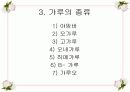  일본대중문화 (PPT) 5페이지