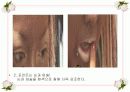  일본대중문화 (PPT) 36페이지