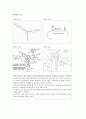 Ribosomes Build a Cell's Proteins 4페이지