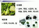 [당뇨병]노인교육자료 파워포인트입니다. 12페이지