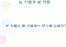 농업과 물 학습지도안 자료 12페이지