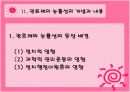 관료제의 민주성과 능률성의 조화. 4페이지