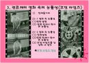 관료제의 민주성과 능률성의 조화. 6페이지