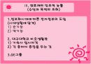 관료제의 민주성과 능률성의 조화. 11페이지