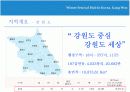 태백 눈 축제 조사 발표 PPT 자료 4페이지