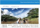 태백 눈 축제 조사 발표 PPT 자료 5페이지