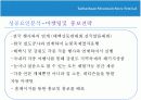 태백 눈 축제 조사 발표 PPT 자료 19페이지