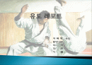 유도에 대하여..(목차 참고) 1페이지