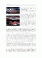 민족주의 이데올로기로 월드컵 문화 분석하기 4페이지