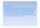 연금제도의 발전과정과 종류 공적연금과 사적연금의 관계 25페이지
