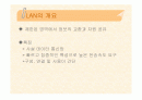 LAN(Local Area Network) 2페이지