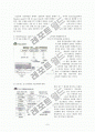 OLED의시장성에 따른 OlED발전가능성 및 분류별현재문제점 앞으로 계획.hwp 9페이지