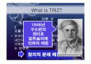 트리지기법 조사ppt 3페이지