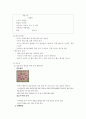계절별 음악 활동 - 도입, 전개, 마무리 4페이지