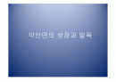 악안면의 성장과 발육 1페이지