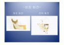 악안면의 성장과 발육 8페이지