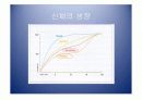 악안면의 성장과 발육 10페이지