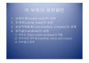 악안면의 성장과 발육 12페이지